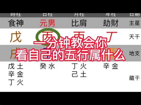 本命屬什麼|生辰八字查詢，生辰八字五行查詢，五行屬性查詢